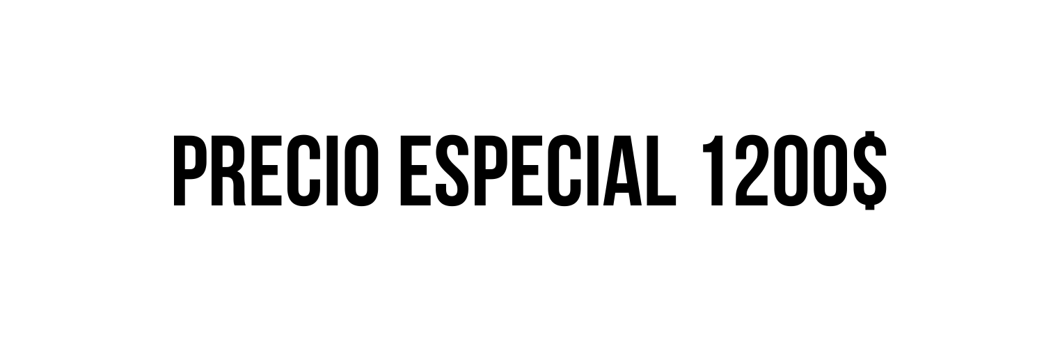 PRECIO ESPECIAL 1200