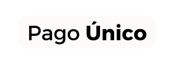 Pago Único